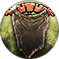 Ancillary icon