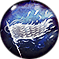 Ancillary icon